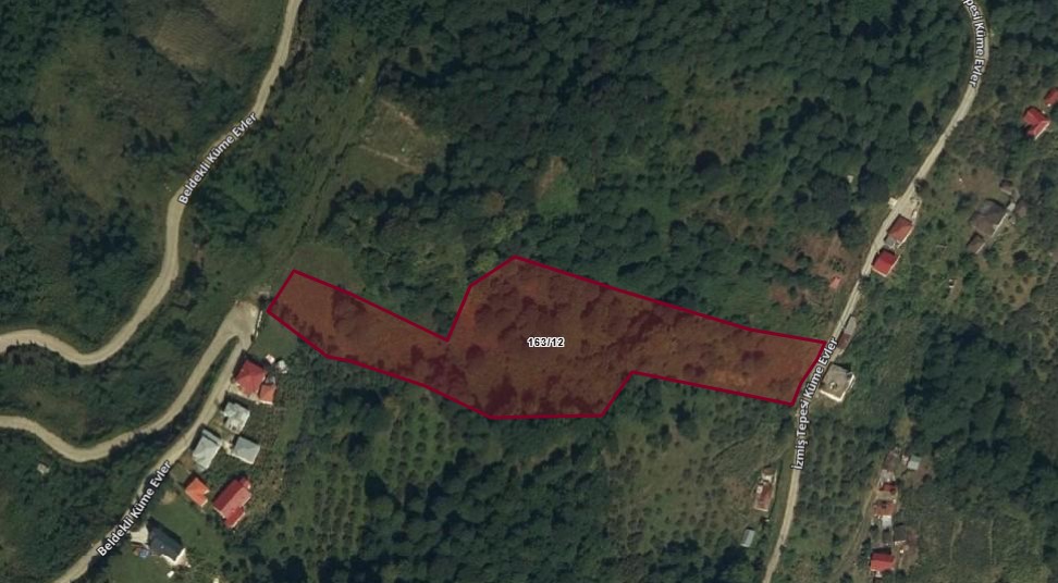 TRABZON BEŞİKDÜZÜ DAĞLICA MAHALLESİNDE 8.103 M²  FINDIK BAHÇEMİZ SATILIKTIR.